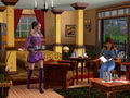 The Sims 3